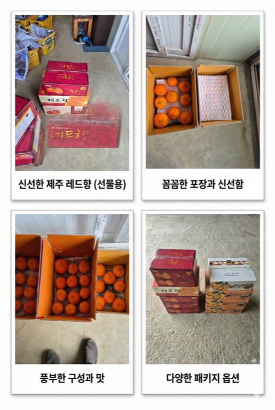 레드향 상품 포장 구성 - 신선하게 포장된 레드향 상자